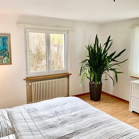 Gaestewohnung Mit Schoenster Sicht Auf Bodensee Apartment Rorschacherberg